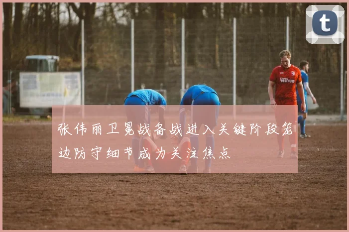 张伟丽卫冕战备战进入关键阶段笼边防守细节成为关注焦点
