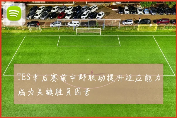 TES季后赛前中野联动提升适应能力成为关键胜负因素