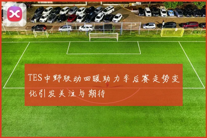 TES中野联动回暖助力季后赛走势变化引发关注与期待